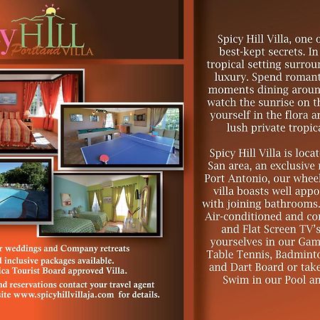 Spicy Hill Villa Port Antonio Cameră foto